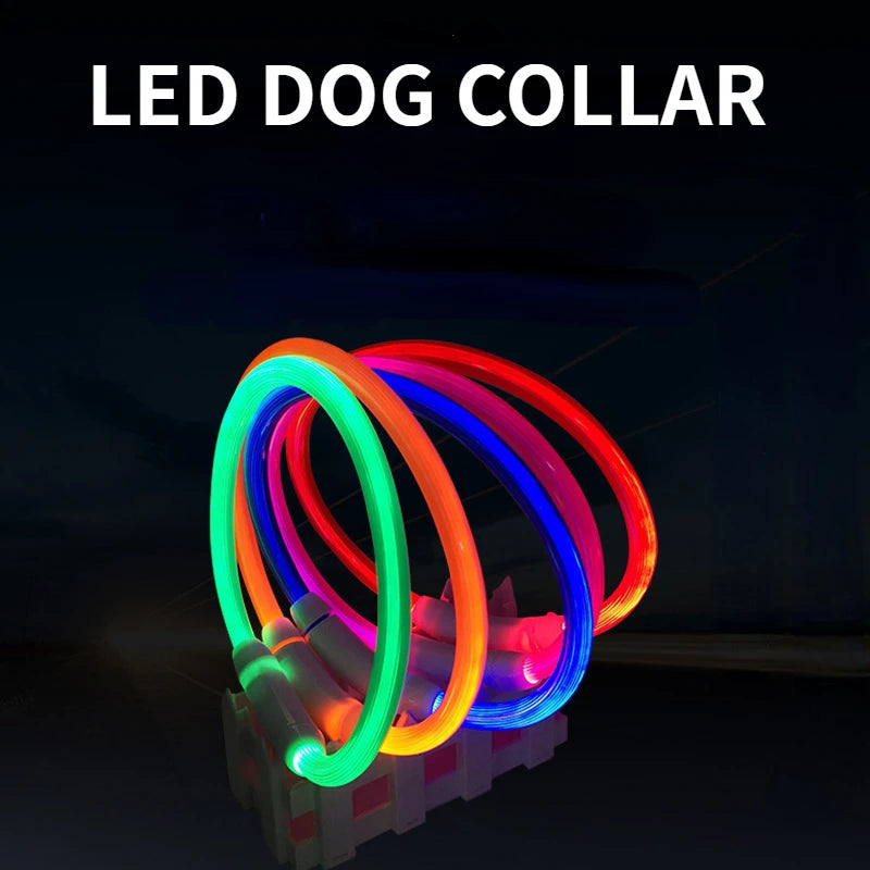 Coleira LED Fibra Óptica