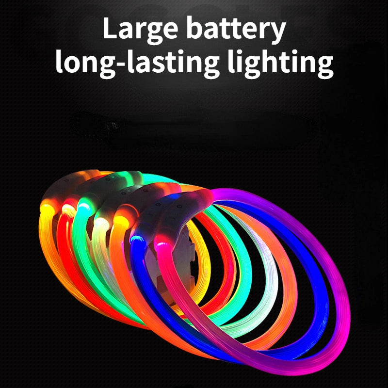 Coleira LED Fibra Óptica