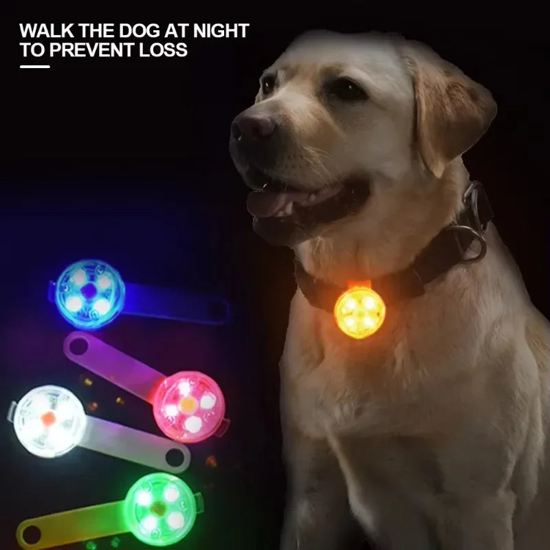 Pingente LED Pet