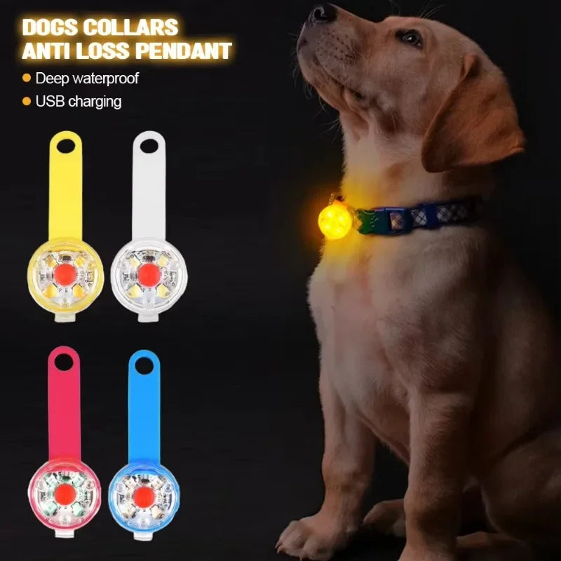 Pingente LED Pet