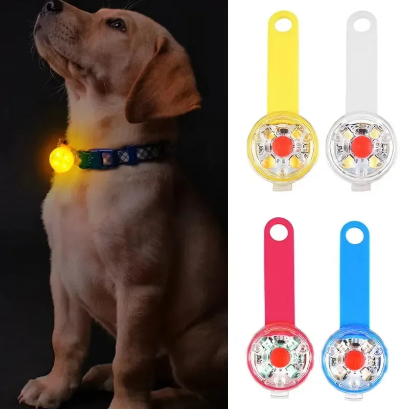 Pingente LED Pet