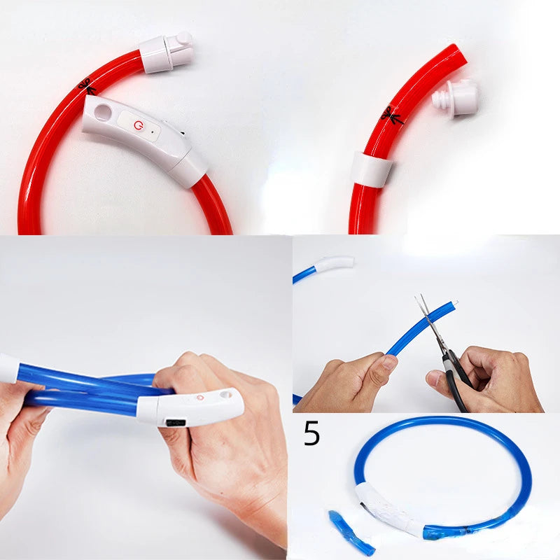 Coleira LED Fibra Óptica