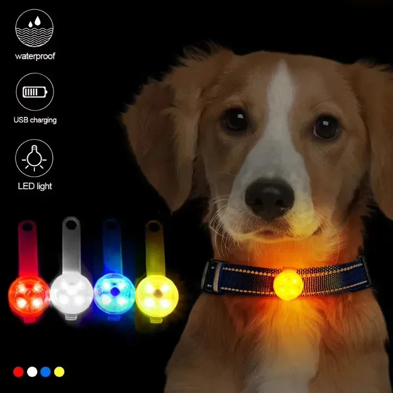 Pingente LED Pet
