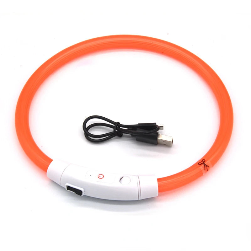 Coleira LED Fibra Óptica